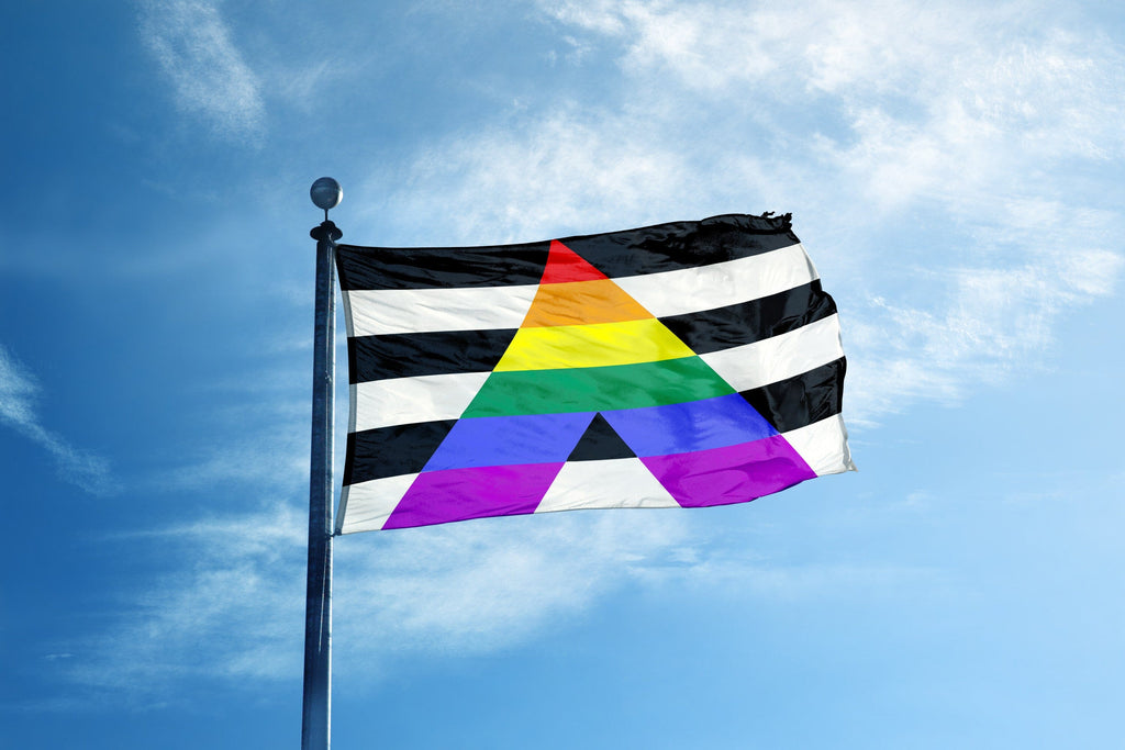 Understanding-the-Ally-Flag-Meaning-Symbolism-and-Products We are Pride