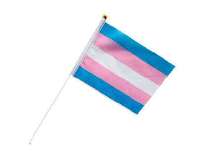 Small Transgender Flags on a Stick We Are Pride